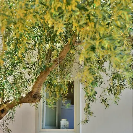 Appartamento Douskos Beach House *